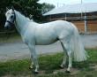 DESTINY