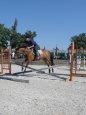 JEZDECK� KURZ I.TURNUS - 10.7.2010