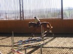 Soust�ed�n� se Sebastianem Holtgr�vem - 2.4.2008