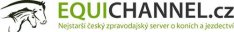 equichannel